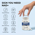 Aevola CoQ10 + Liposomal NAD+